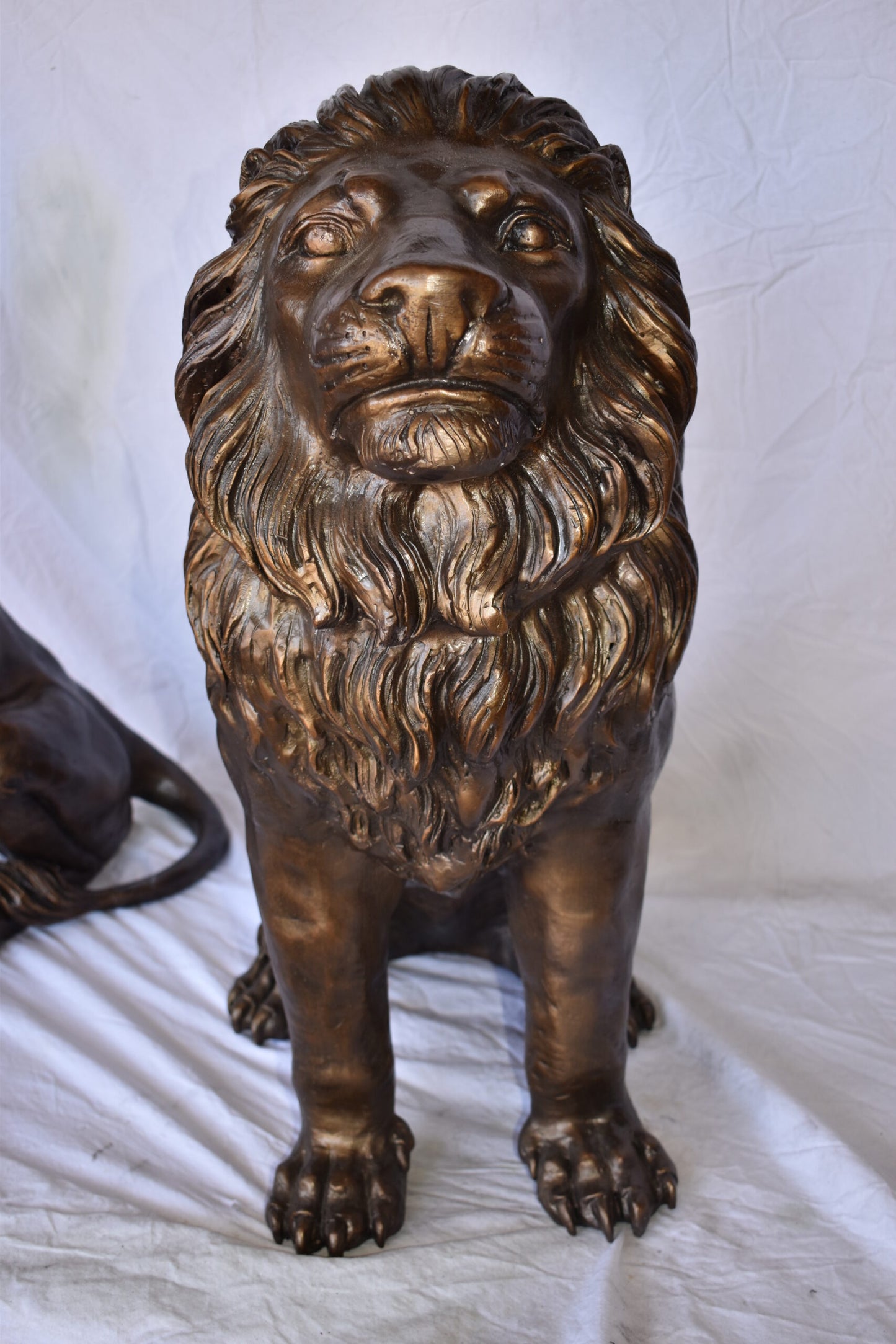A Pair of Lions Sitting on The Ground Bronze Statues Size: 14" x 27" x 29"H