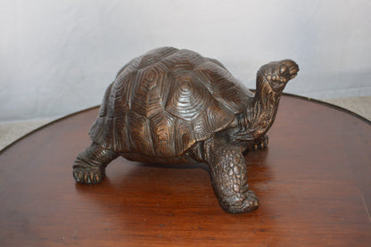 Turtle Bronze Statue -  Size: 8"L x 12"W x 7"H.