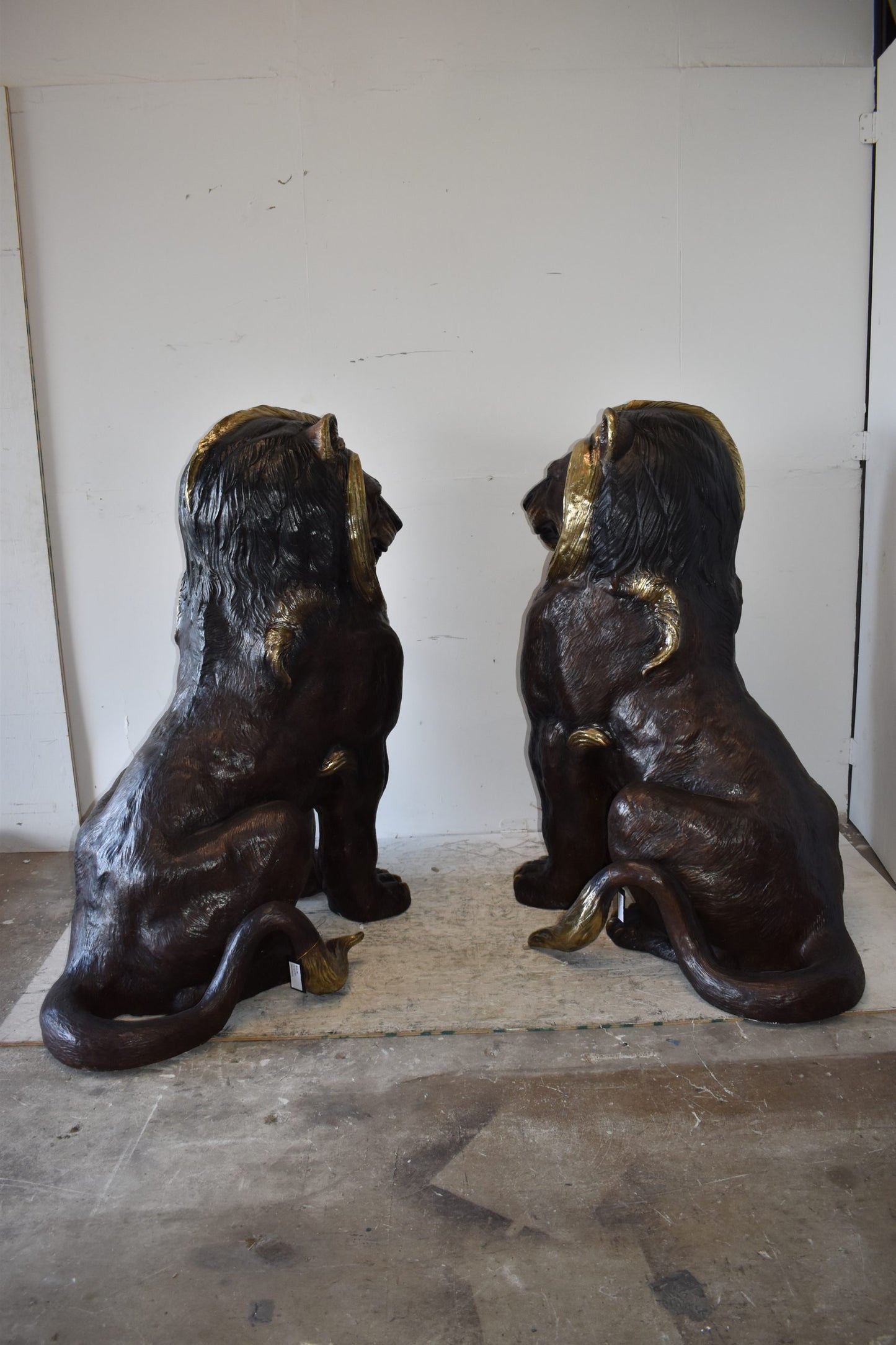 A Pair of Giant Lions with Gold Mane Bronze Statues Size: 36" x 46" x 58"H