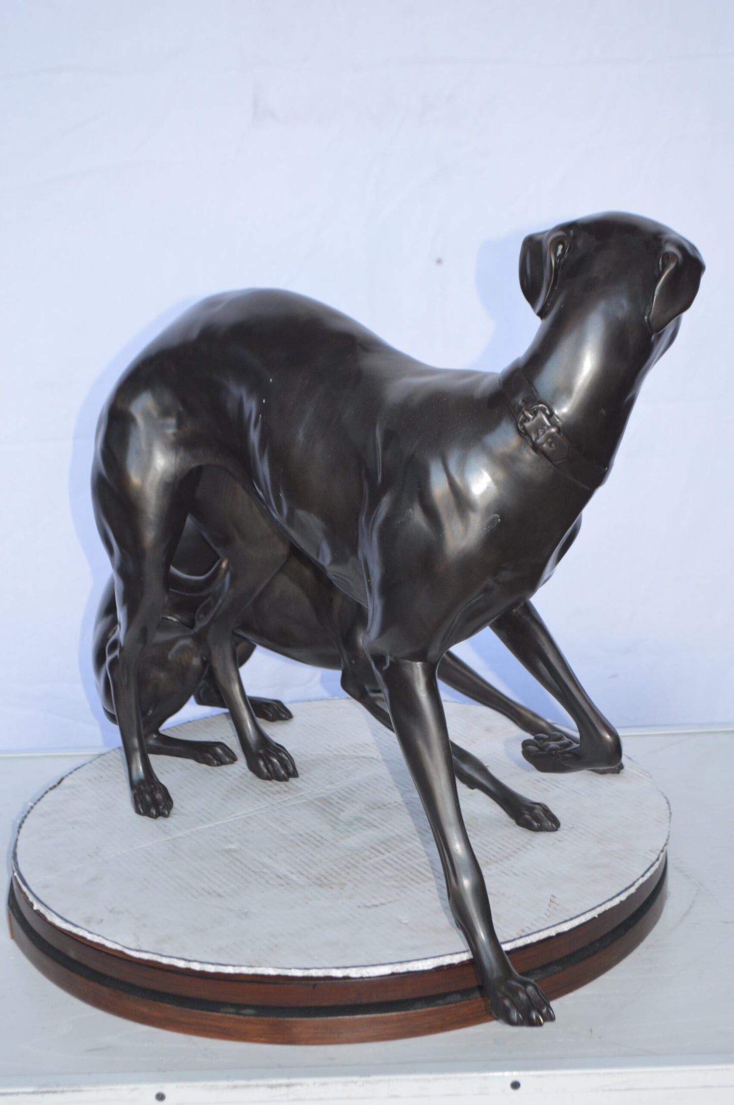 A pair of  Whippet Dogs Bronze Statue -  Size: 32"L x 17"W x 23"H.