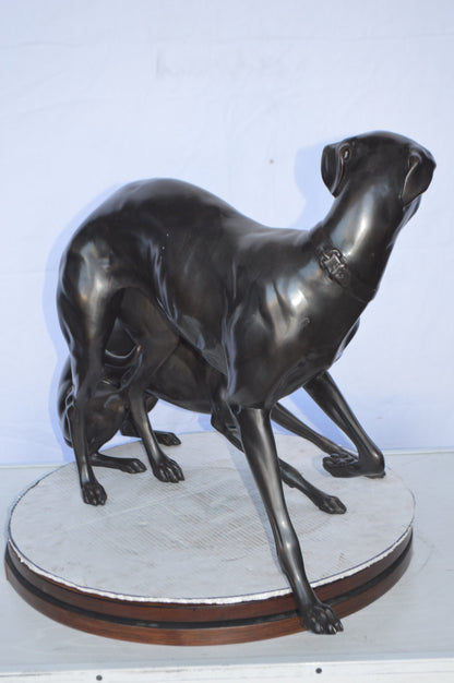 A pair of  Whippet Dogs Bronze Statue -  Size: 32"L x 17"W x 23"H.