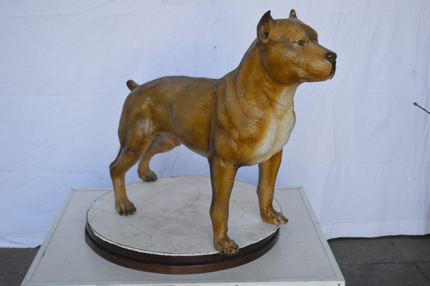 Pitbull Dog Colored Bronze Statue -  Size: 33"L x 10"W x 26"H.