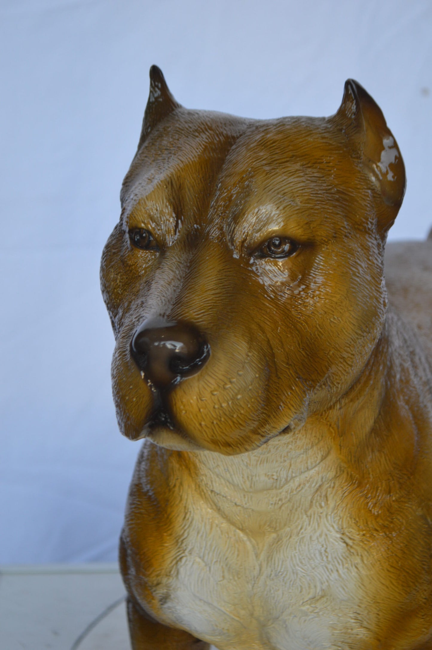 Pitbull Dog Colored Bronze Statue -  Size: 33"L x 10"W x 26"H.