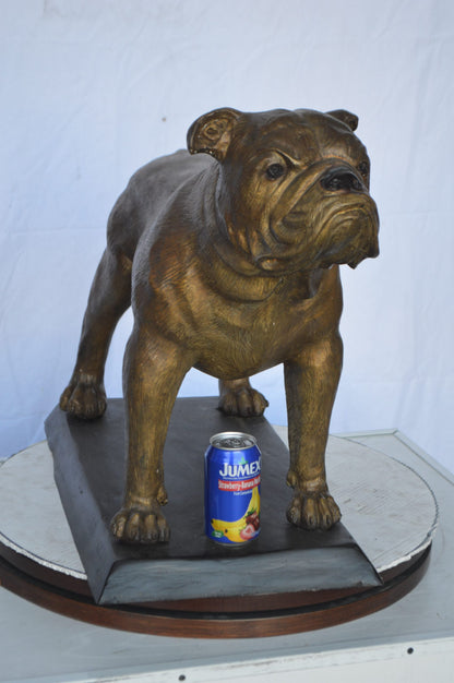 Bulldog Bronze Statue Mounted on a Base -  Size: 32"L x 10"W x 21"H.