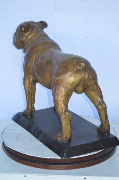 Bulldog Bronze Statue Mounted on a Base -  Size: 32"L x 10"W x 21"H.