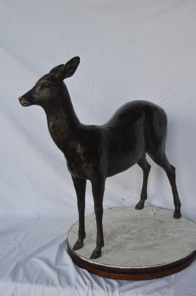 Doe - baby deer bronze statue -  Size: 30"L x 8"W x 30"H.