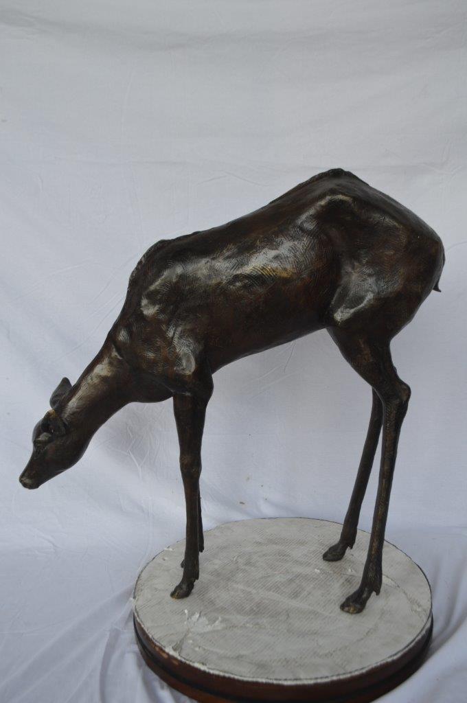 Life Size deer bronze statue -  Size: 33"L x 9"W x 34"H.