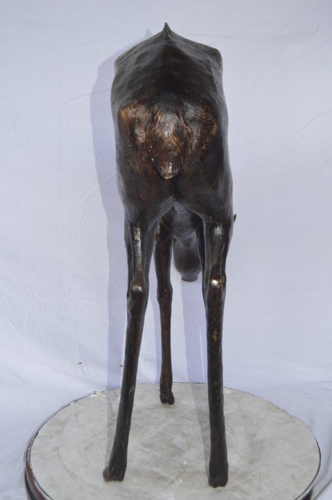 Life Size deer bronze statue -  Size: 33"L x 9"W x 34"H.