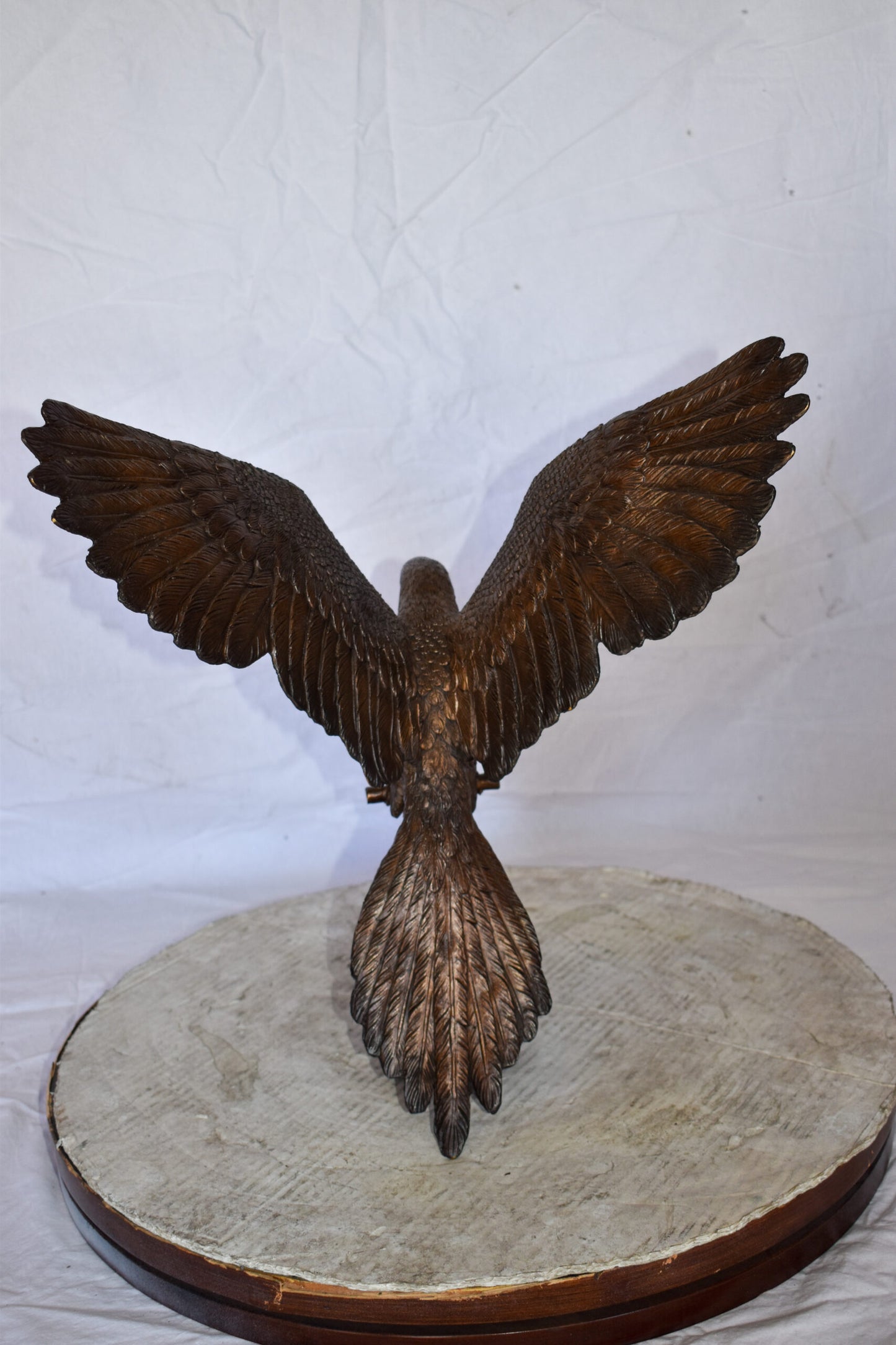 Parrot Riding a Tricycle Bronze Statue Size: 17" x 11" x 19"H