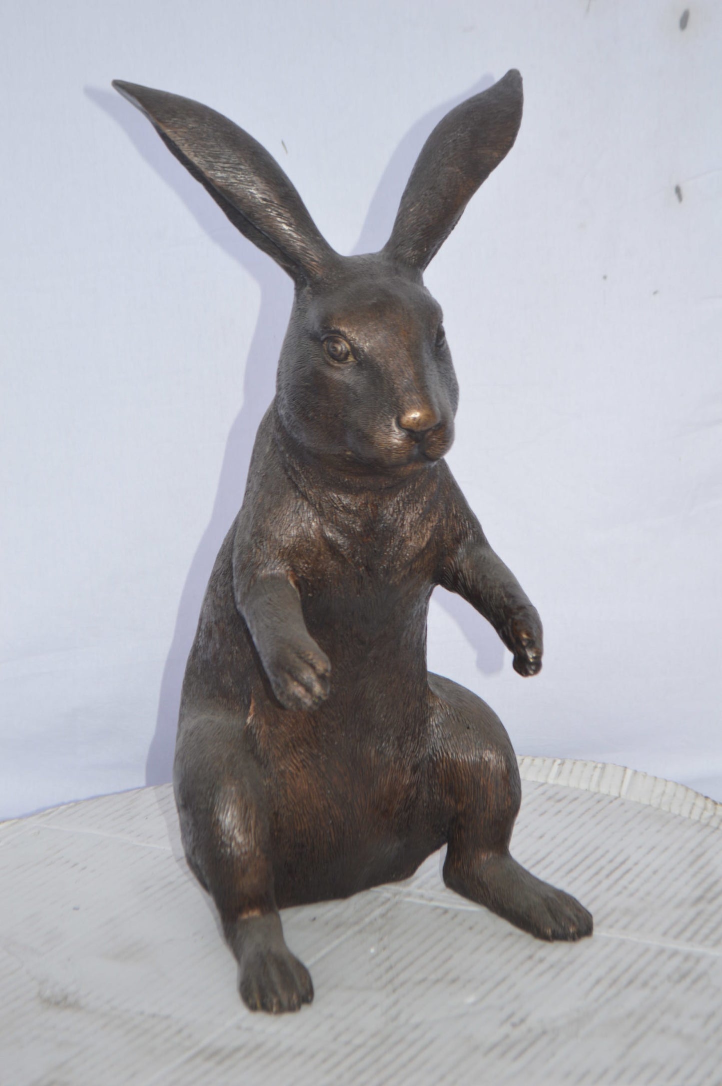 Rabbit looking down bronze statue - Size: 10"L x 12"W x 20"H.