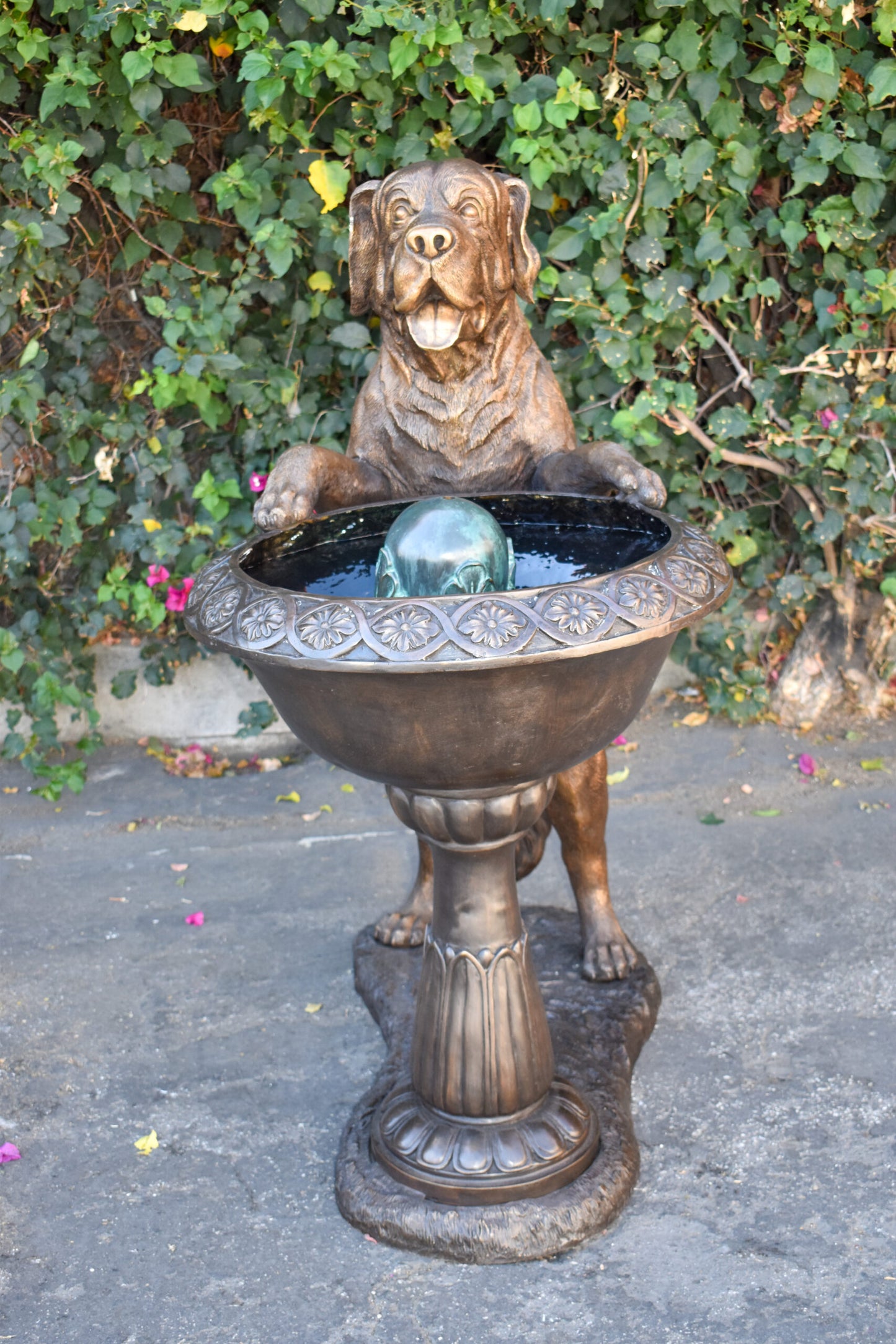 San Bernard Dog Drinking from A Water Fountain Bronze Statue  43" x 25" x 50"H