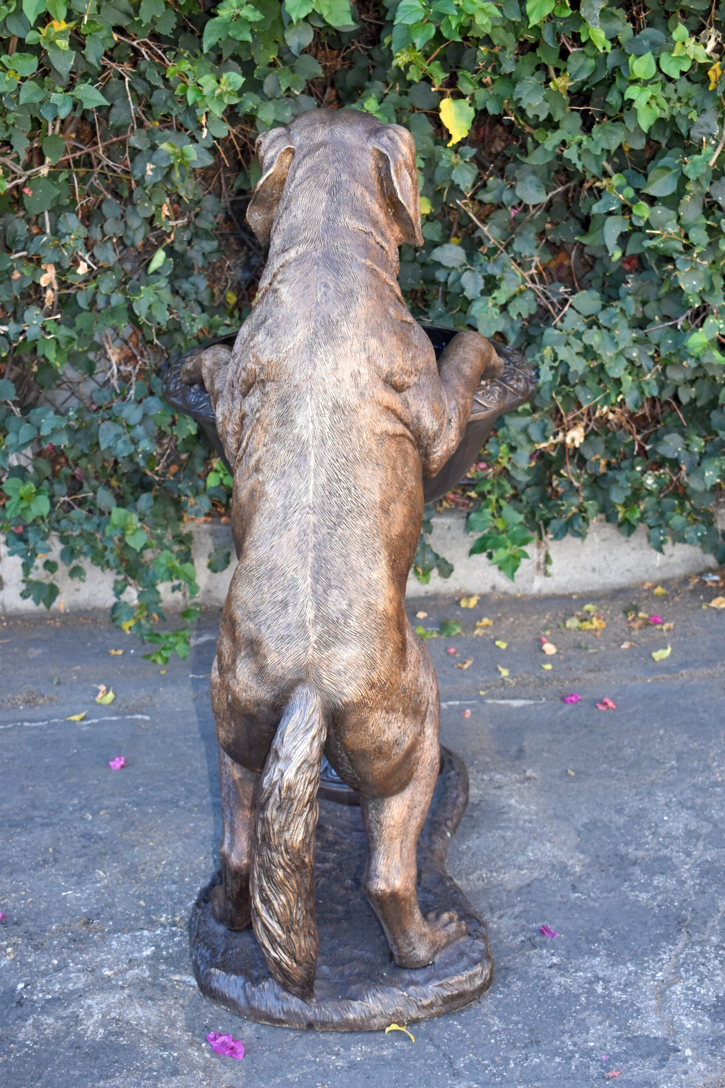 San Bernard Dog Drinking from A Water Fountain Bronze Statue  43" x 25" x 50"H