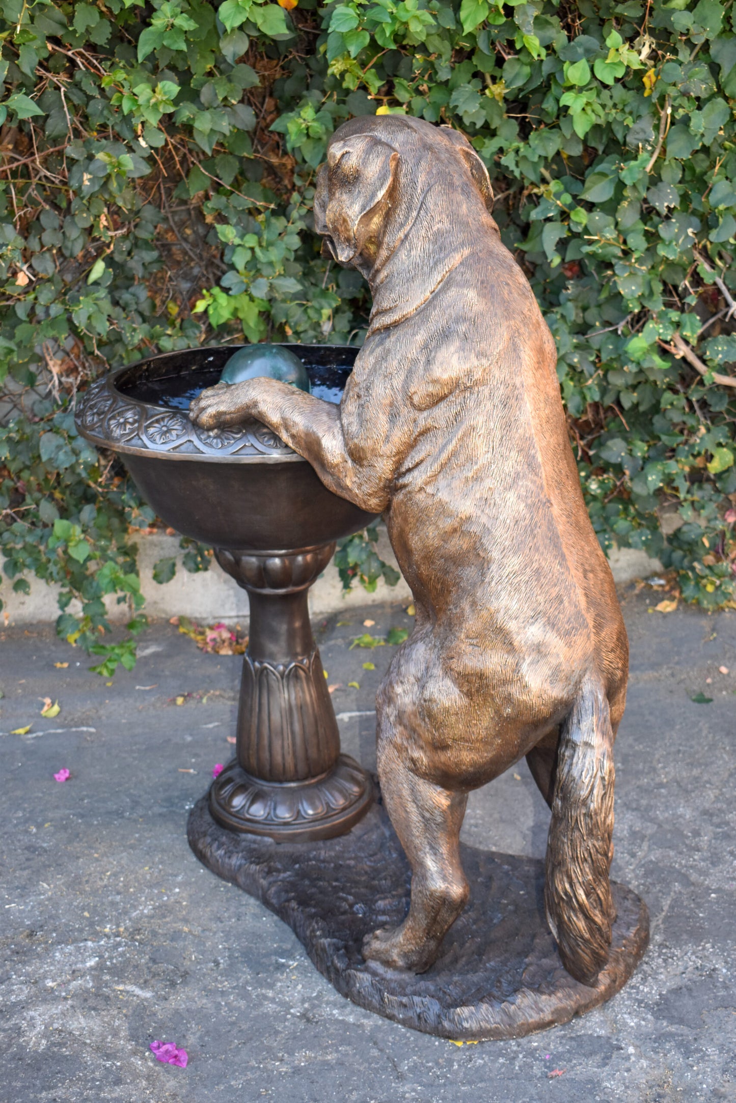 San Bernard Dog Drinking from A Water Fountain Bronze Statue  43" x 25" x 50"H