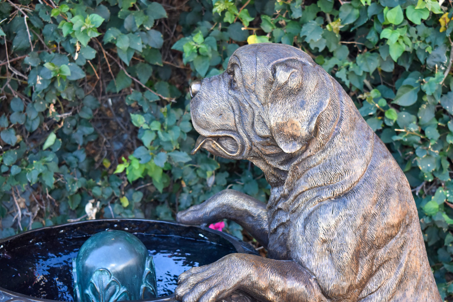 San Bernard Dog Drinking from A Water Fountain Bronze Statue  43" x 25" x 50"H