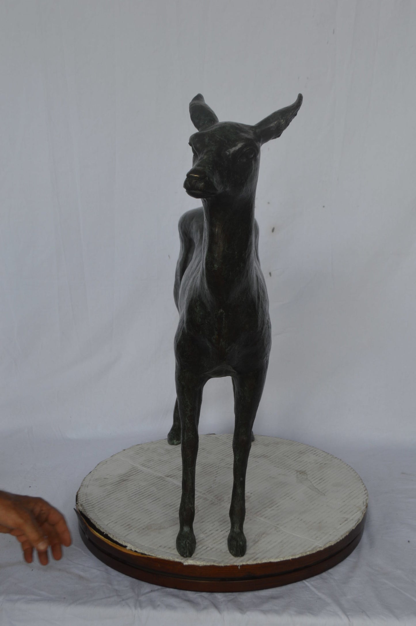 Doe - Baby Deer Green patina Bronze Statue - Size: 30"L x 8"W x 31"H.