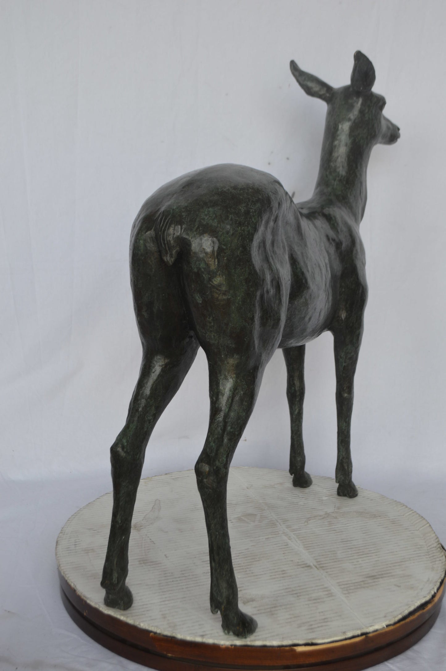 Doe - Baby Deer Green patina Bronze Statue - Size: 30"L x 8"W x 31"H.