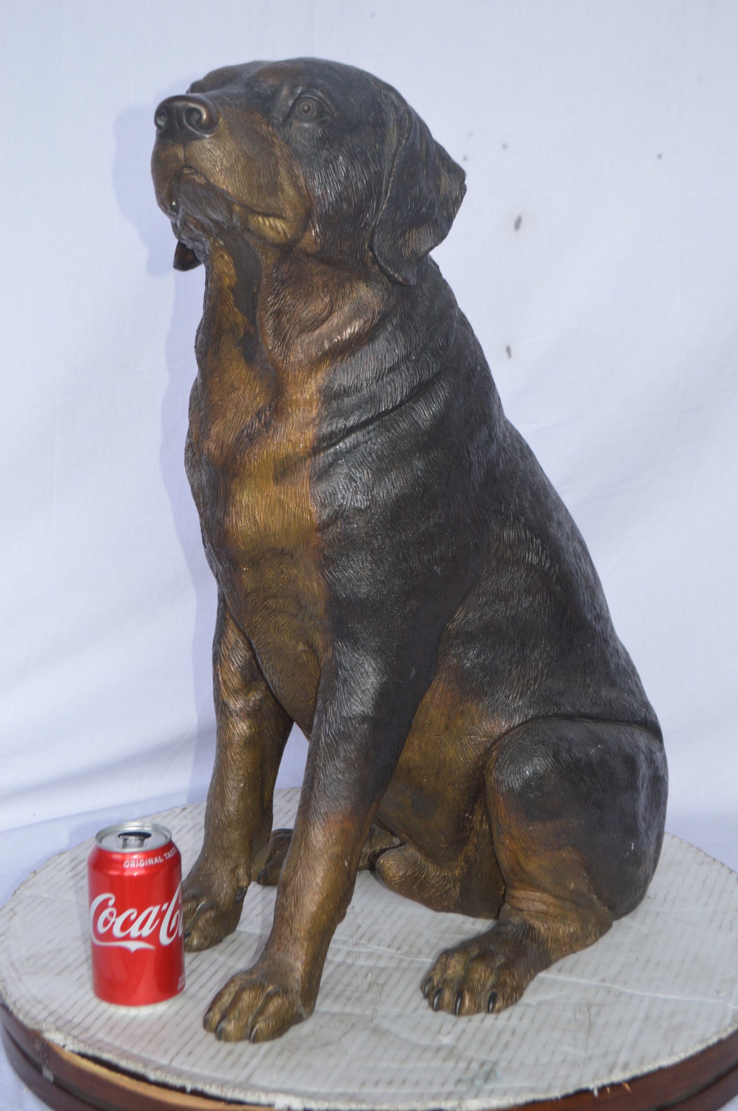 Labrador Retriever Sitting bronze statue - Size: 19"L x 15"W x 25"H.