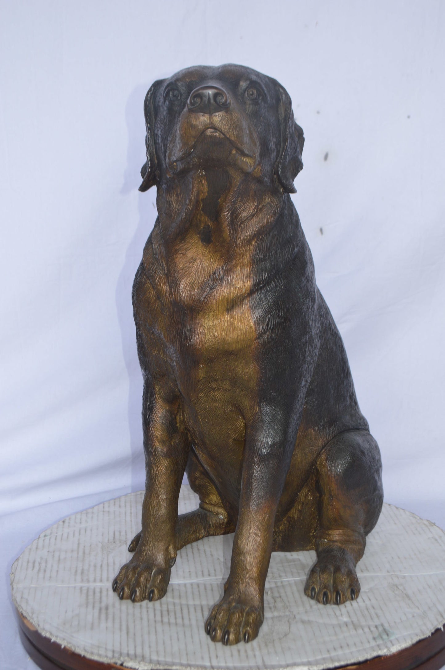 Labrador Retriever Sitting bronze statue - Size: 19"L x 15"W x 25"H.