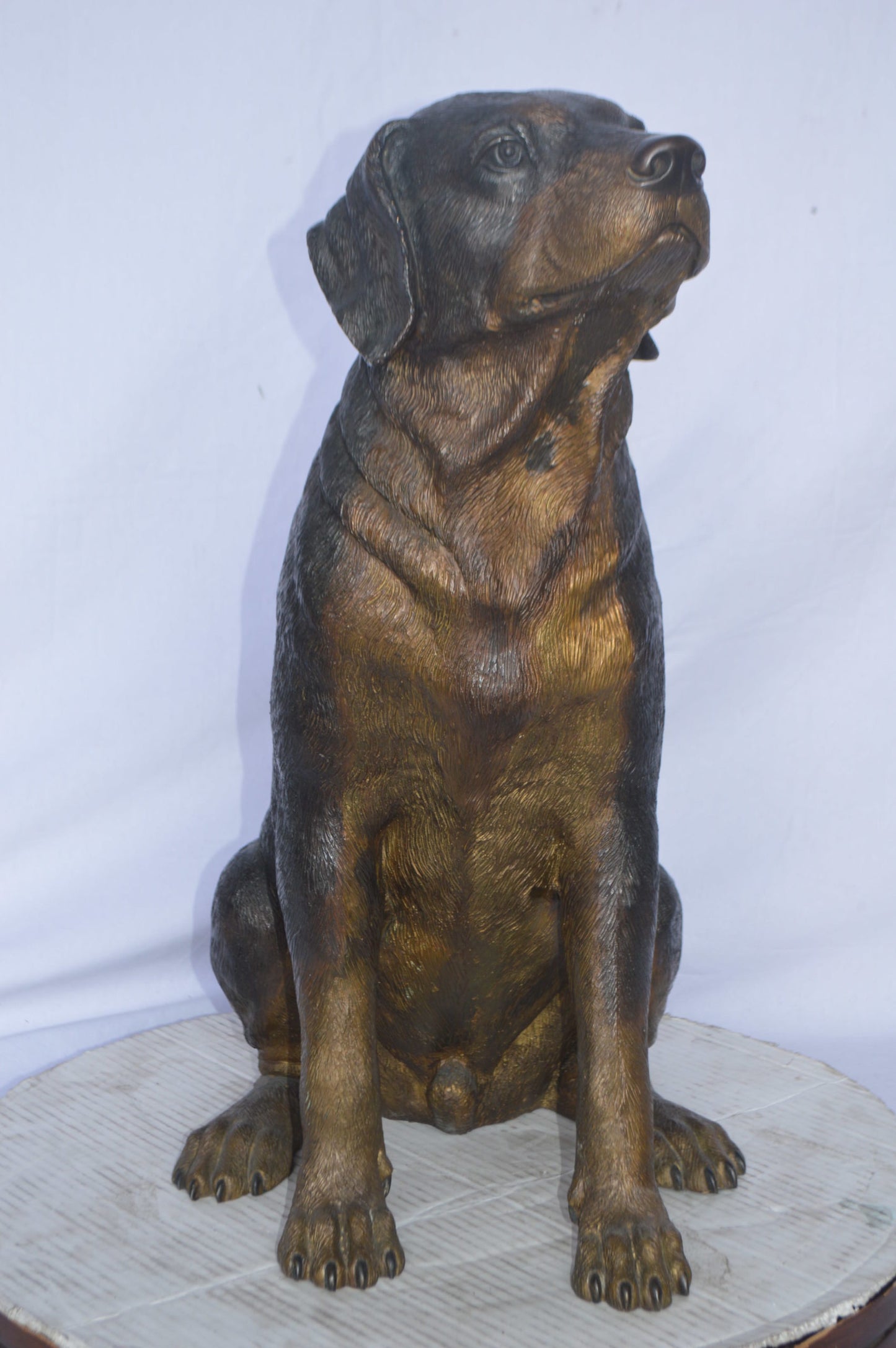 Labrador Retriever Sitting bronze statue - Size: 19"L x 15"W x 25"H.