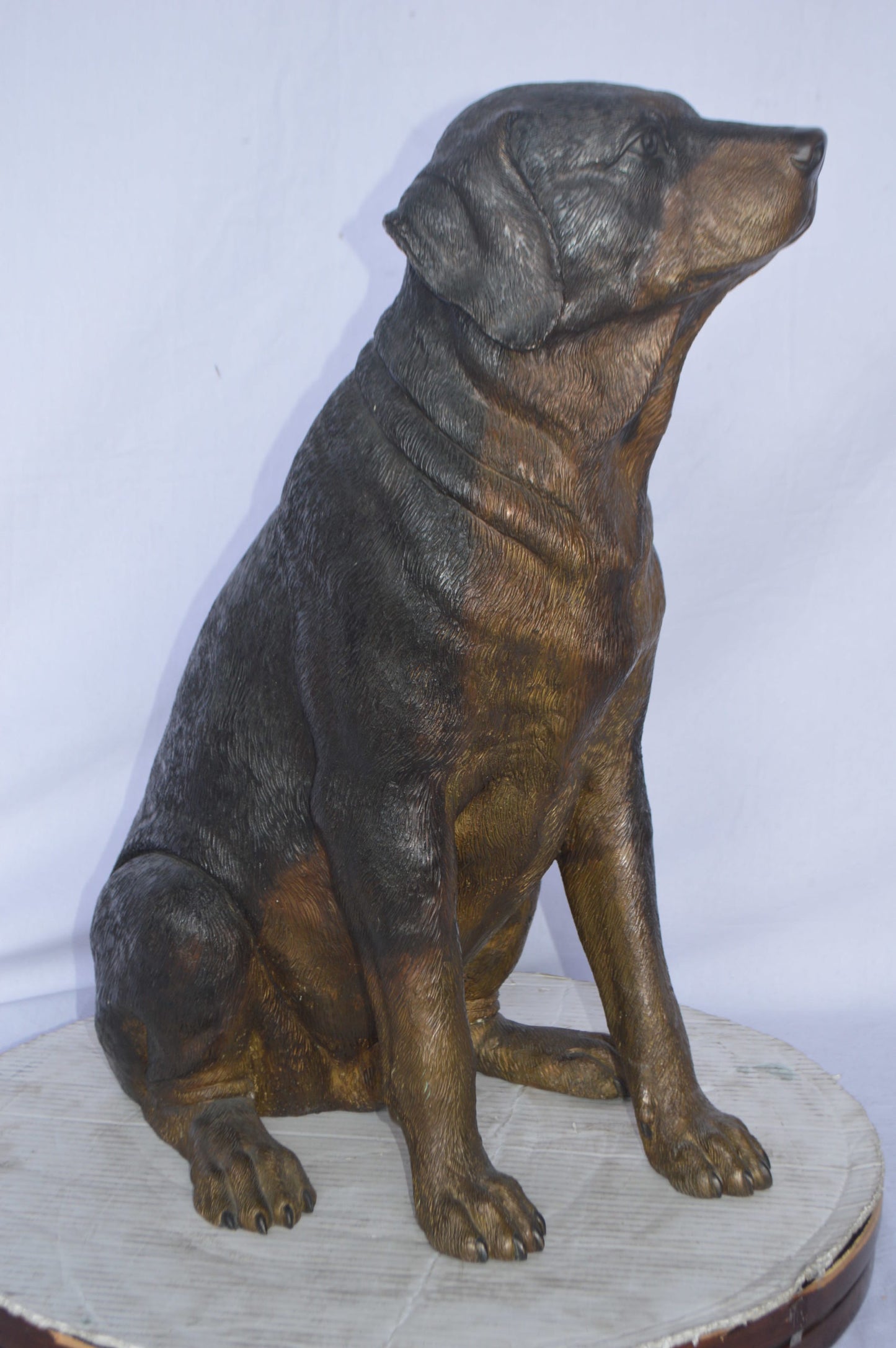 Labrador Retriever Sitting bronze statue - Size: 19"L x 15"W x 25"H.
