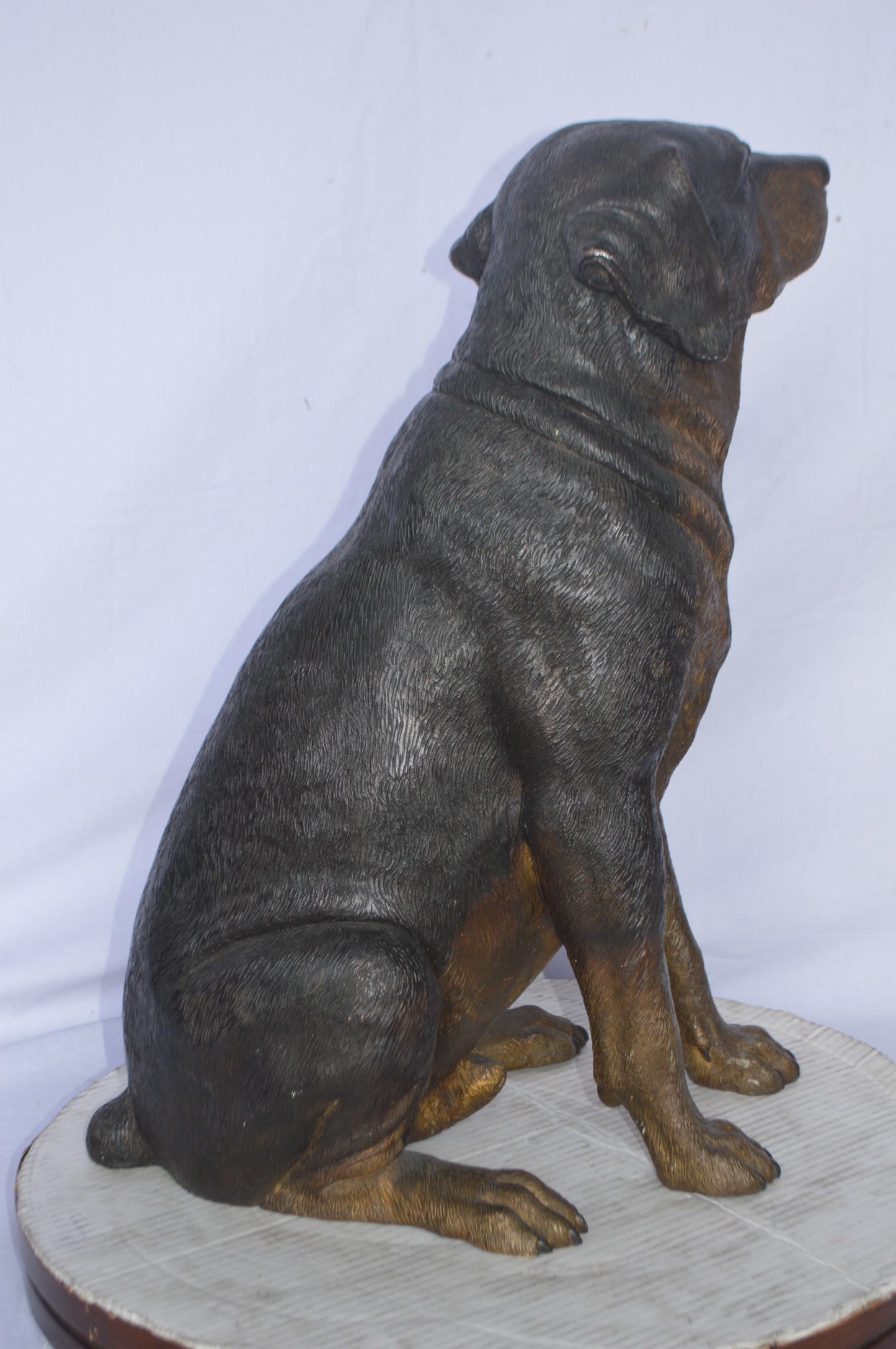 Labrador Retriever Sitting bronze statue - Size: 19"L x 15"W x 25"H.