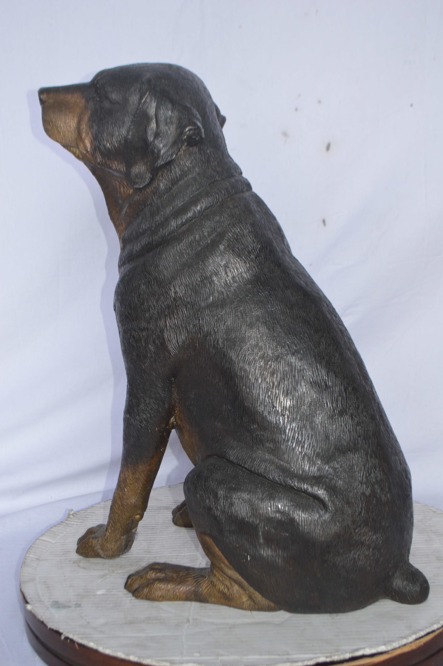 Labrador Retriever Sitting bronze statue - Size: 19"L x 15"W x 25"H.