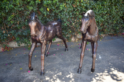 Pair Of Very Detailed Young Horses, Foals, Bronze Statues Size: 56" x 50" x 47"H