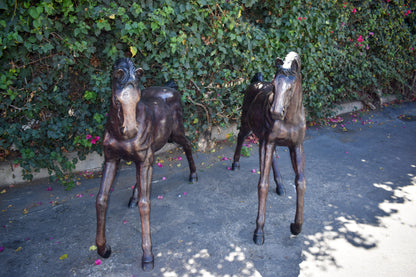 Pair Of Very Detailed Young Horses, Foals, Bronze Statues Size: 56" x 50" x 47"H