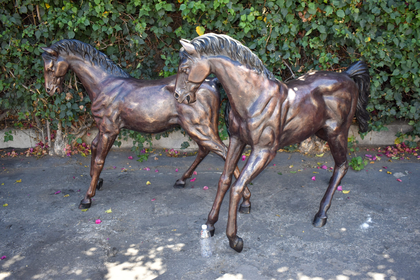 Pair Of Very Detailed Young Horses, Foals, Bronze Statues Size: 56" x 50" x 47"H