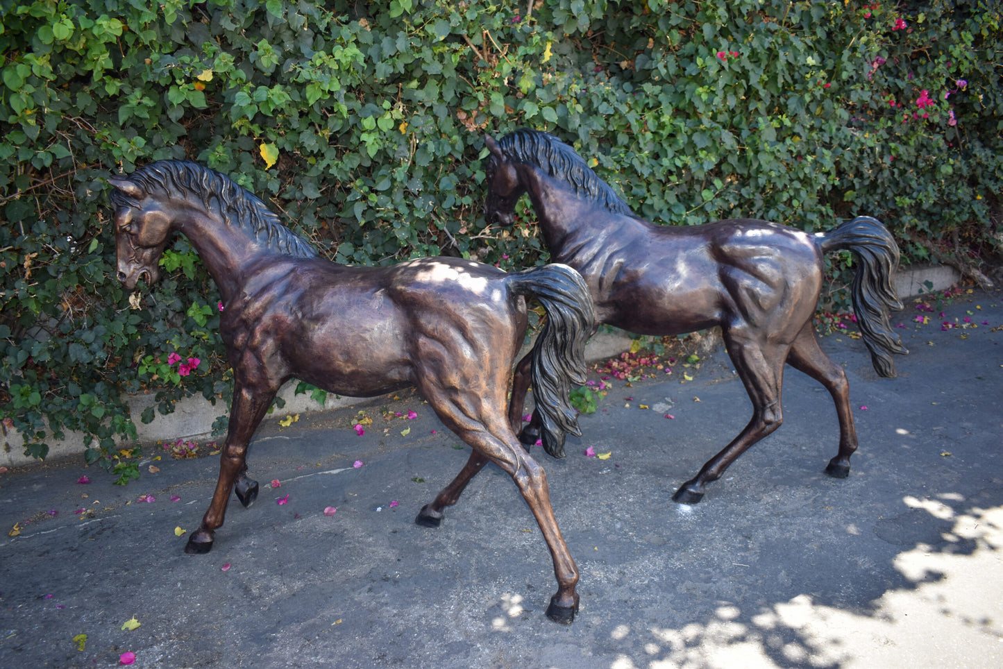 Pair Of Very Detailed Young Horses, Foals, Bronze Statues Size: 56" x 50" x 47"H