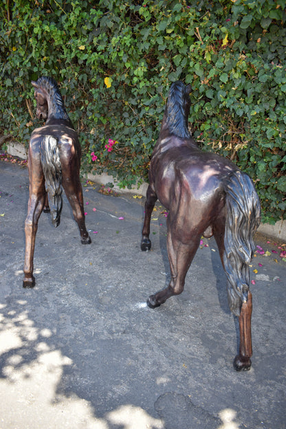 Pair Of Very Detailed Young Horses, Foals, Bronze Statues Size: 56" x 50" x 47"H