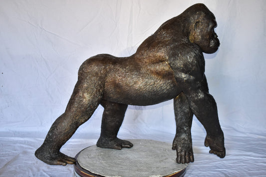 Gorilla Walking Detailed and Impressive Bronze Statue Size: 38" x 15" x 33"H