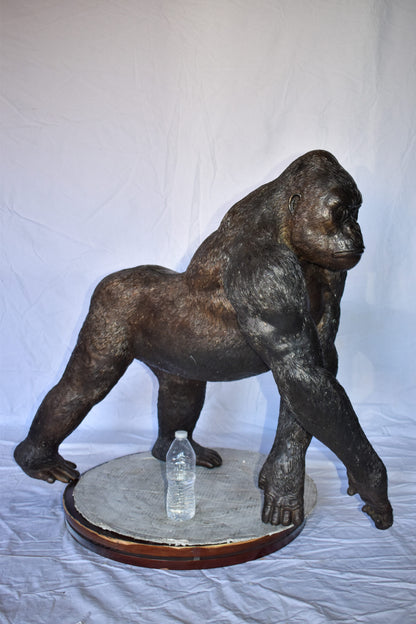 Gorilla Walking Detailed and Impressive Bronze Statue Size: 38" x 15" x 33"H