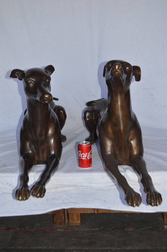 Pair of Greyhound dogs laying down Bronze Statues - Size: 50"L x 11"W x 20"H.