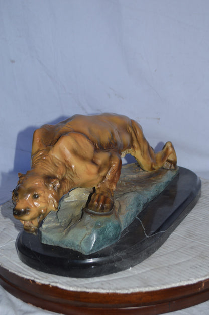 Mountain Lion in action Bronze Statue - Size: 25"L x 11"W x 11"H.