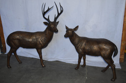 Pair of life size deer bronze statue - Size: 17"L x 44"W x 52"H.