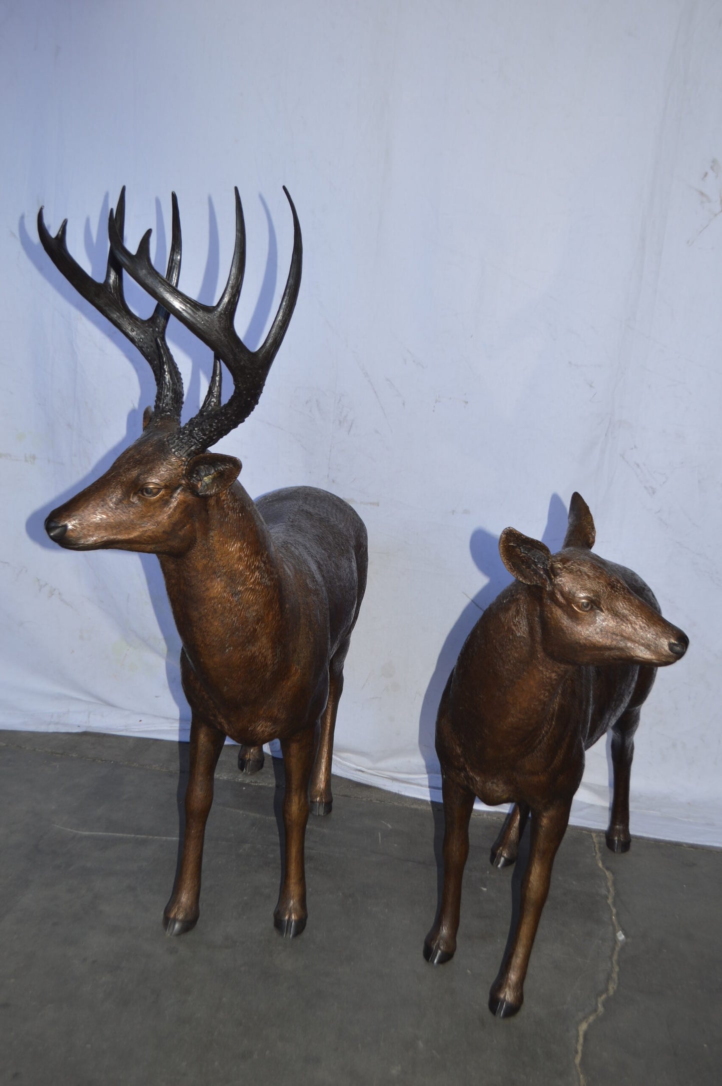 Pair of life size deer bronze statue - Size: 17"L x 44"W x 52"H.