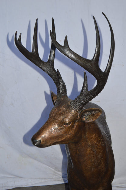 Pair of life size deer bronze statue - Size: 17"L x 44"W x 52"H.