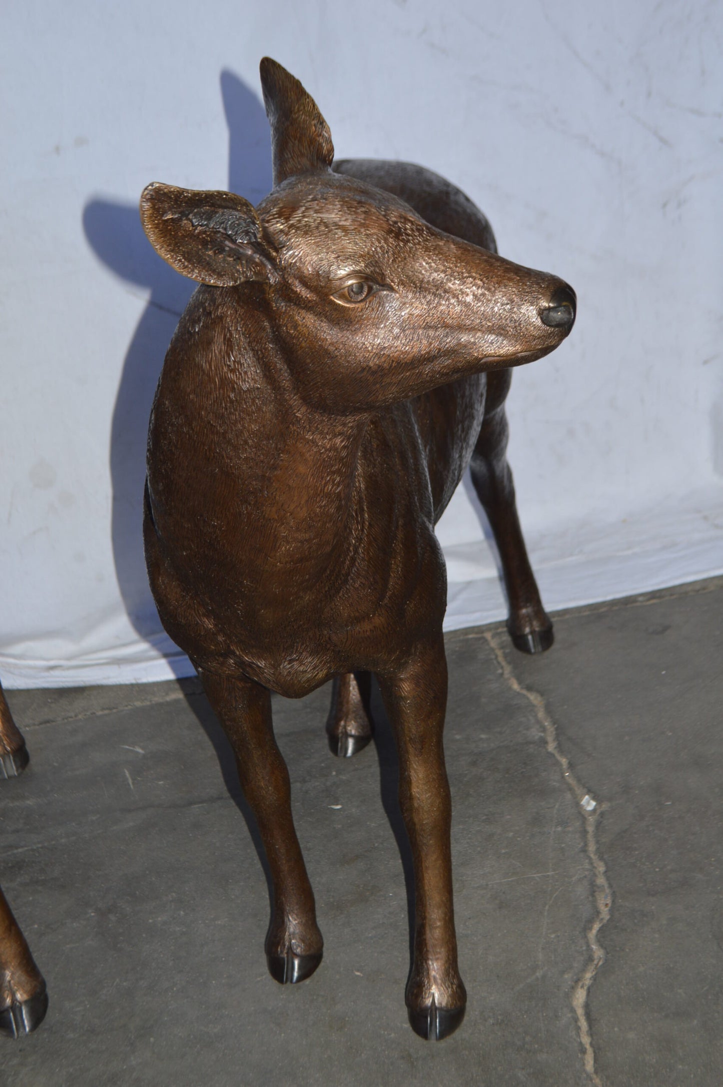 Pair of life size deer bronze statue - Size: 17"L x 44"W x 52"H.