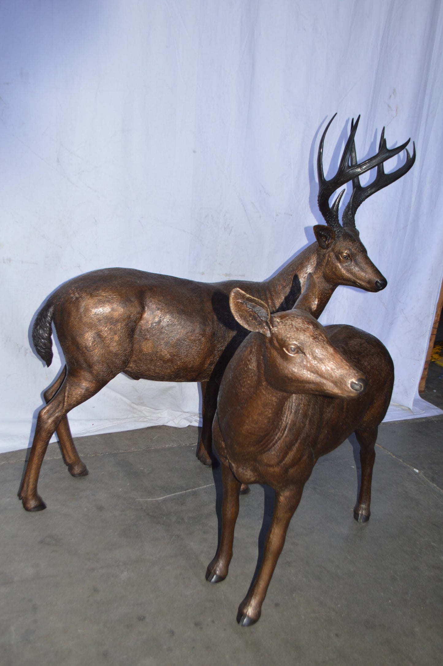 Pair of life size deer bronze statue - Size: 17"L x 44"W x 52"H.