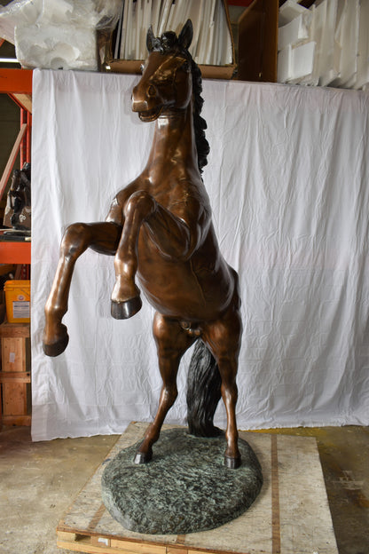 Graceful Life-Sized Horse on Hind Legs Bronze Statue Size: 72" x 34" x 88"H