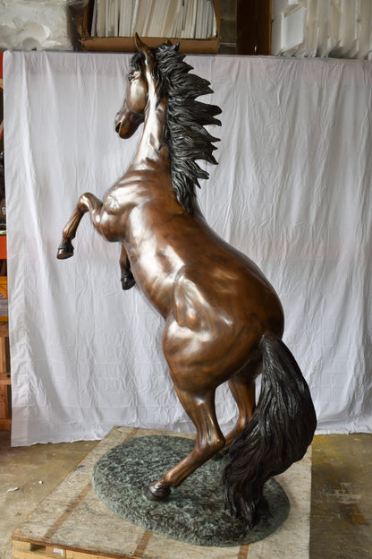 Graceful Life-Sized Horse on Hind Legs Bronze Statue Size: 72" x 34" x 88"H