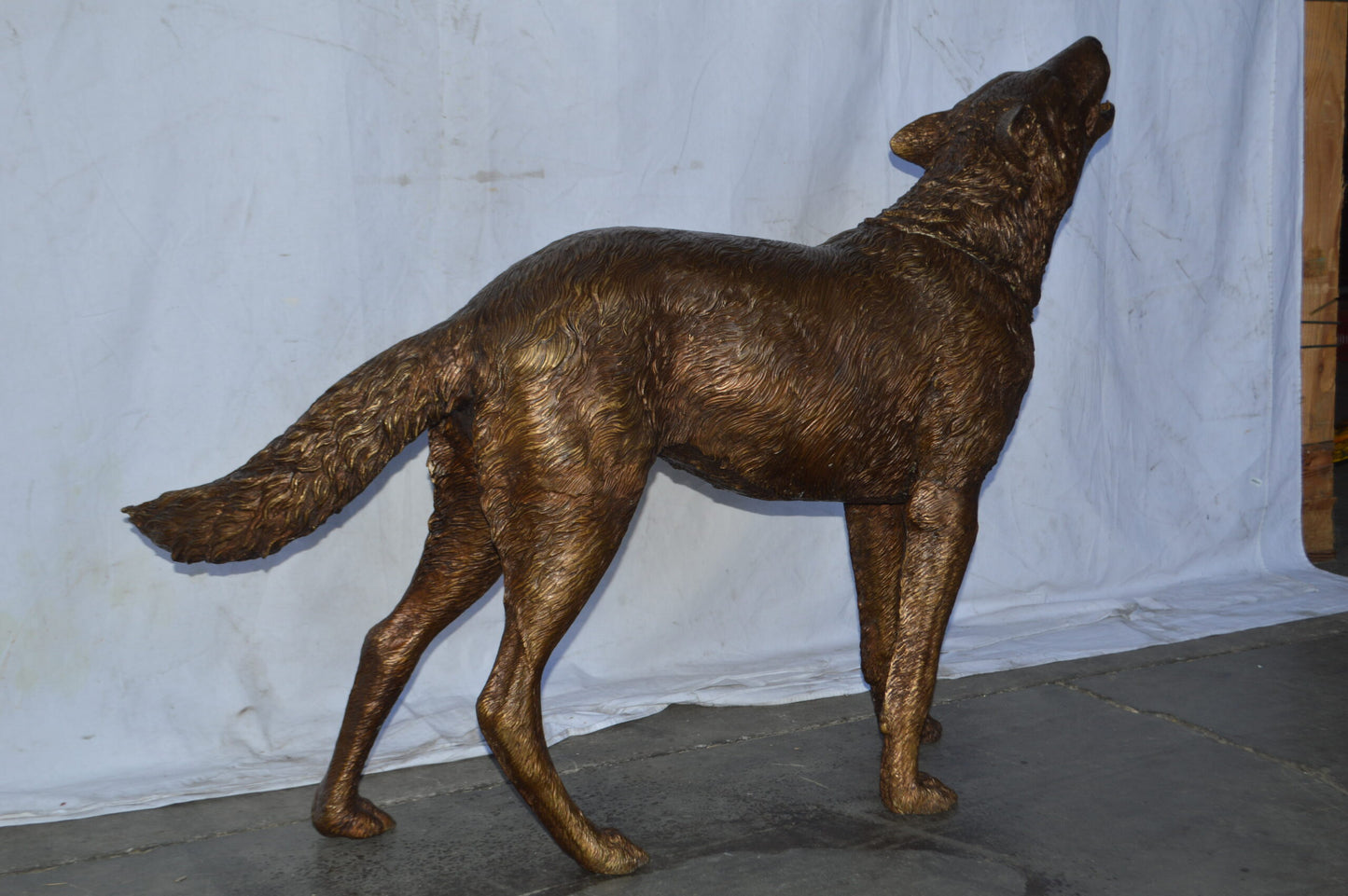 Wolf Standing and Howling Life Size Bronze Statue - Size: 45"L x 15"W x 34"H.
