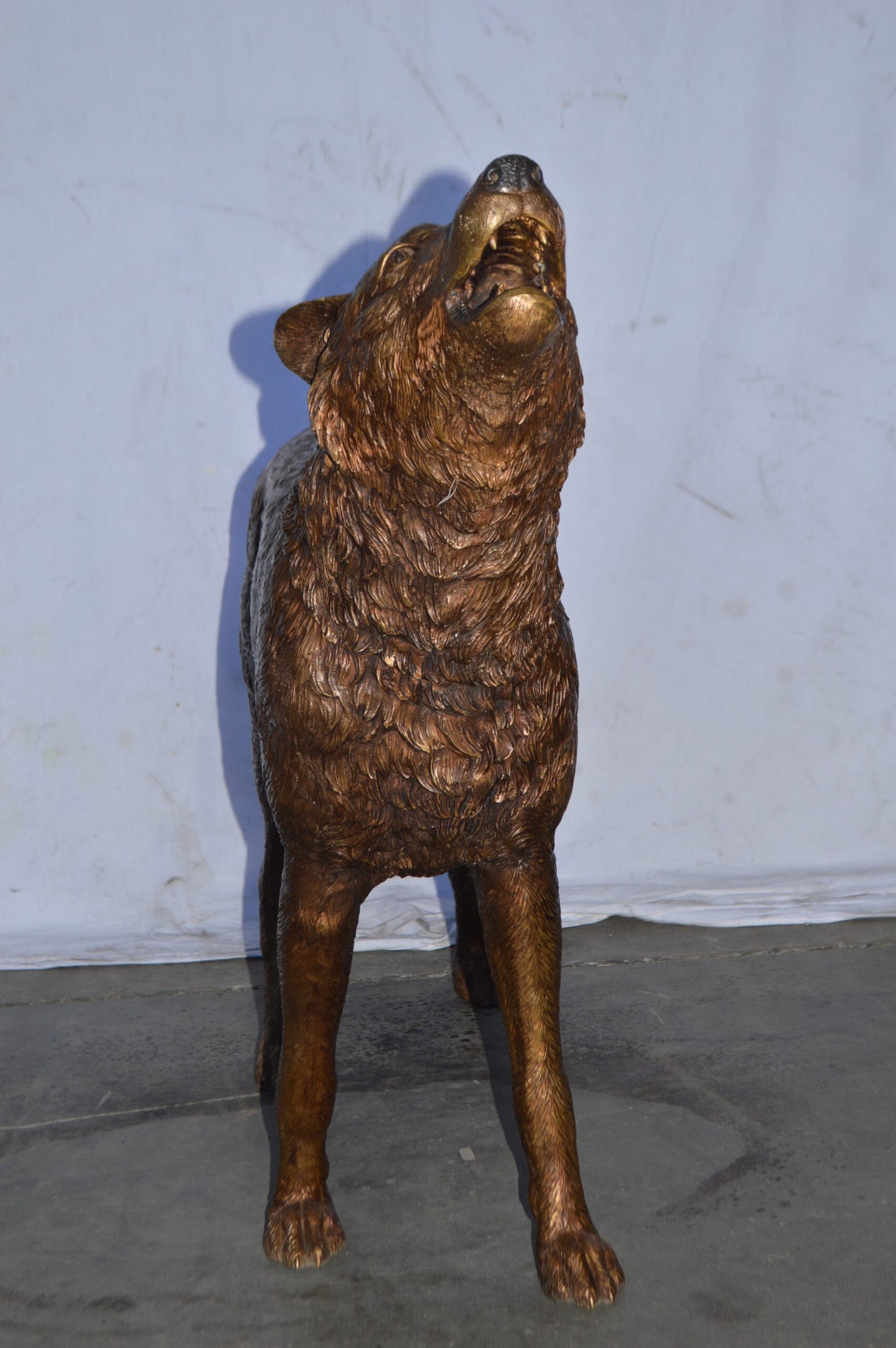 Wolf Standing and Howling Life Size Bronze Statue - Size: 45"L x 15"W x 34"H.