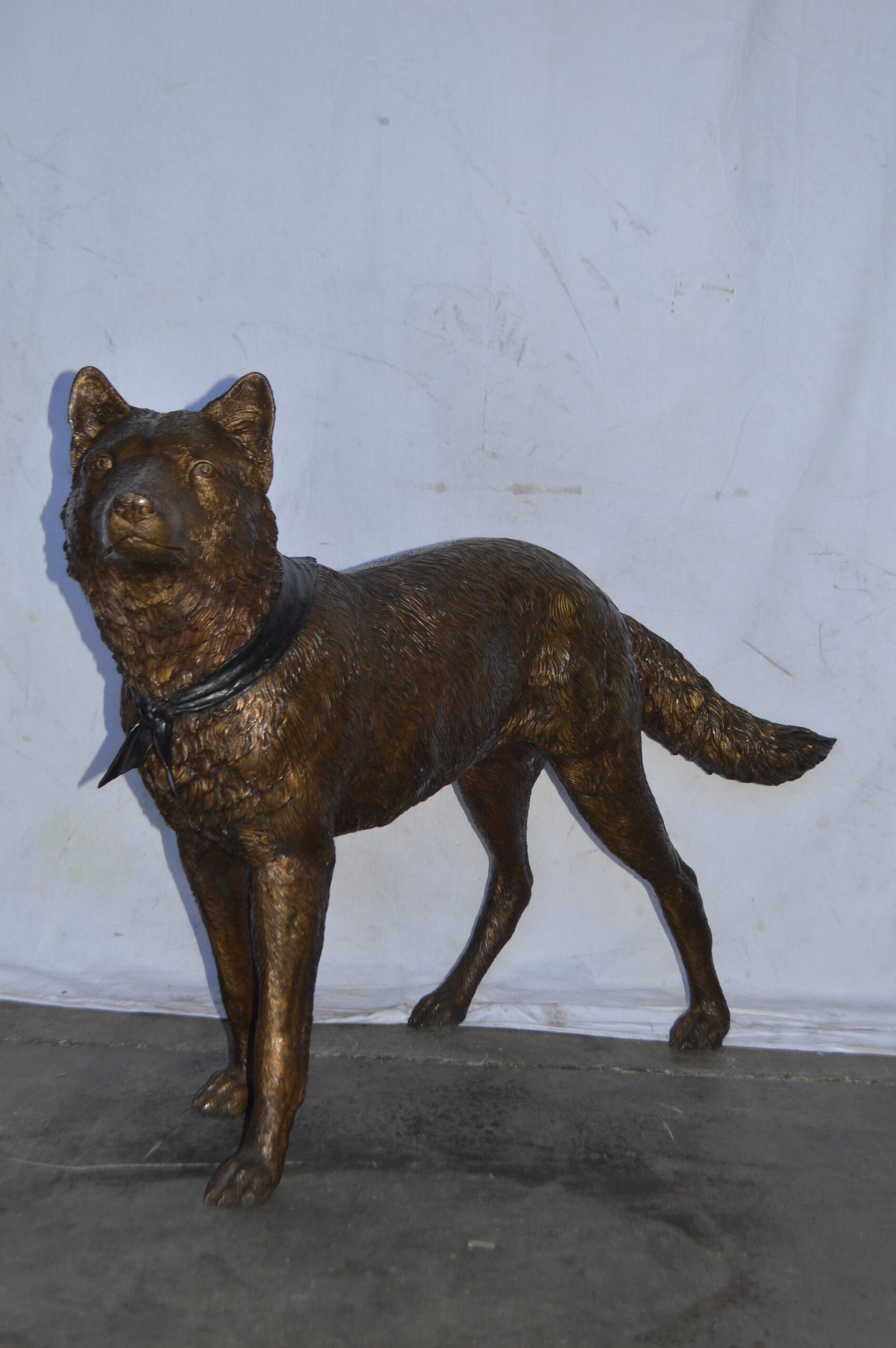 Wolf Standing Life Size Bronze Statue - Size: 45"L x 15"W x 33"H.