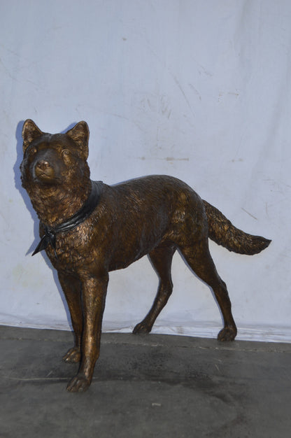 Wolf Standing Life Size Bronze Statue - Size: 45"L x 15"W x 33"H.