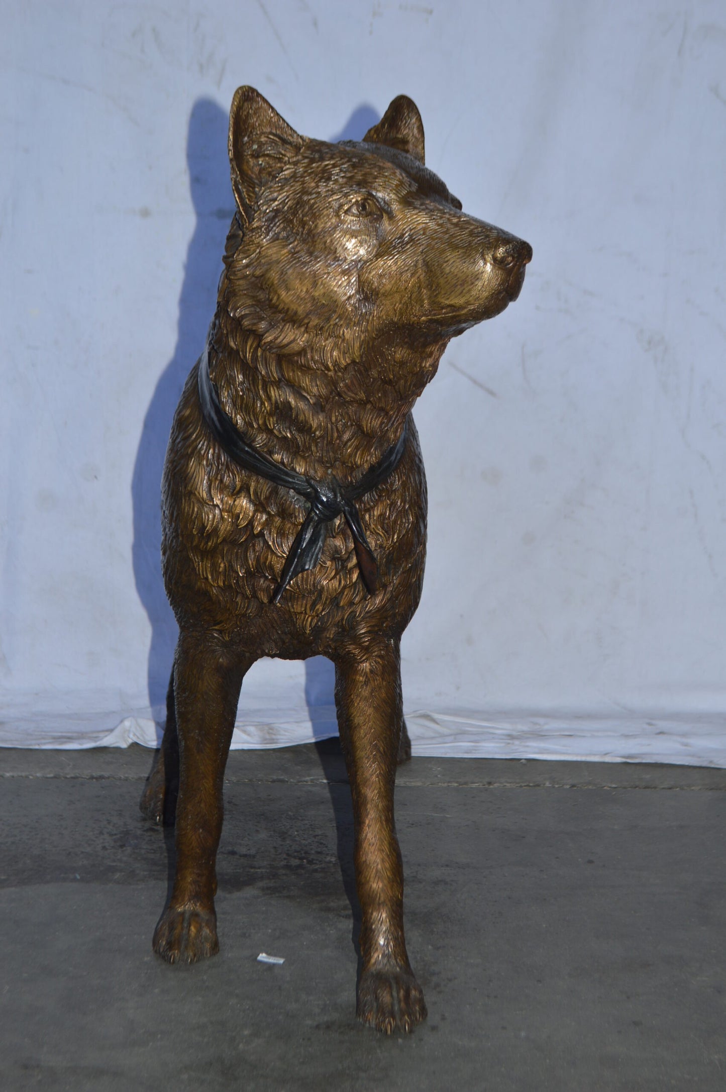 Wolf Standing Life Size Bronze Statue - Size: 45"L x 15"W x 33"H.
