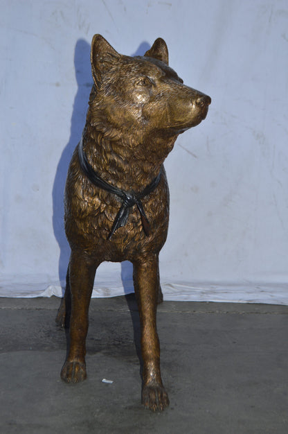 Wolf Standing Life Size Bronze Statue - Size: 45"L x 15"W x 33"H.