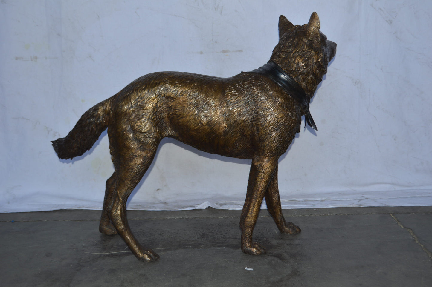 Wolf Standing Life Size Bronze Statue - Size: 45"L x 15"W x 33"H.