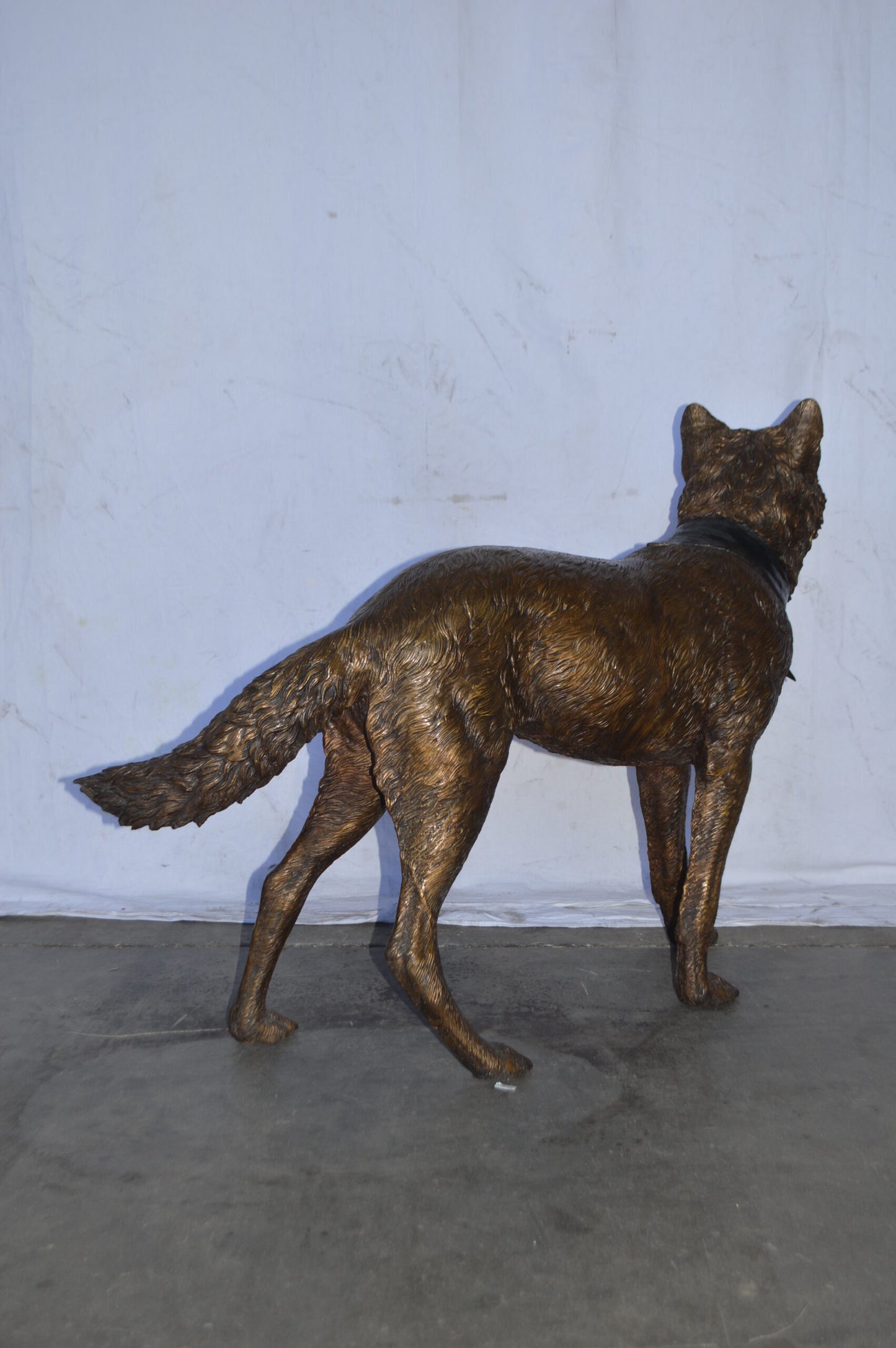 Wolf Standing Life Size Bronze Statue - Size: 45"L x 15"W x 33"H.